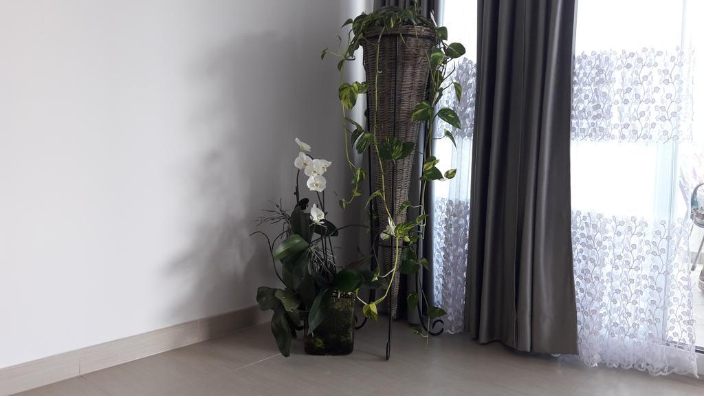 Villa-Apartments Karmel Kastela Ngoại thất bức ảnh